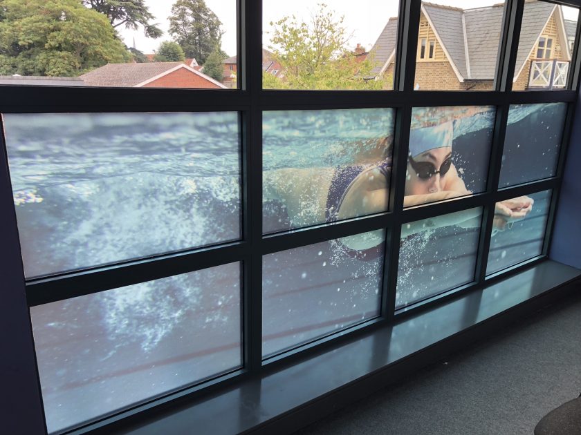 Take full advantage of your window space to promote your products and services.